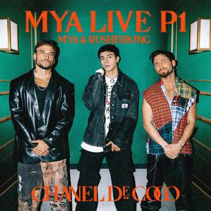 精品国产性色无码av国语
